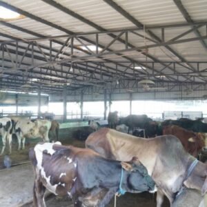 Untitled design (27)