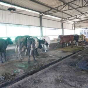 Untitled design (28)